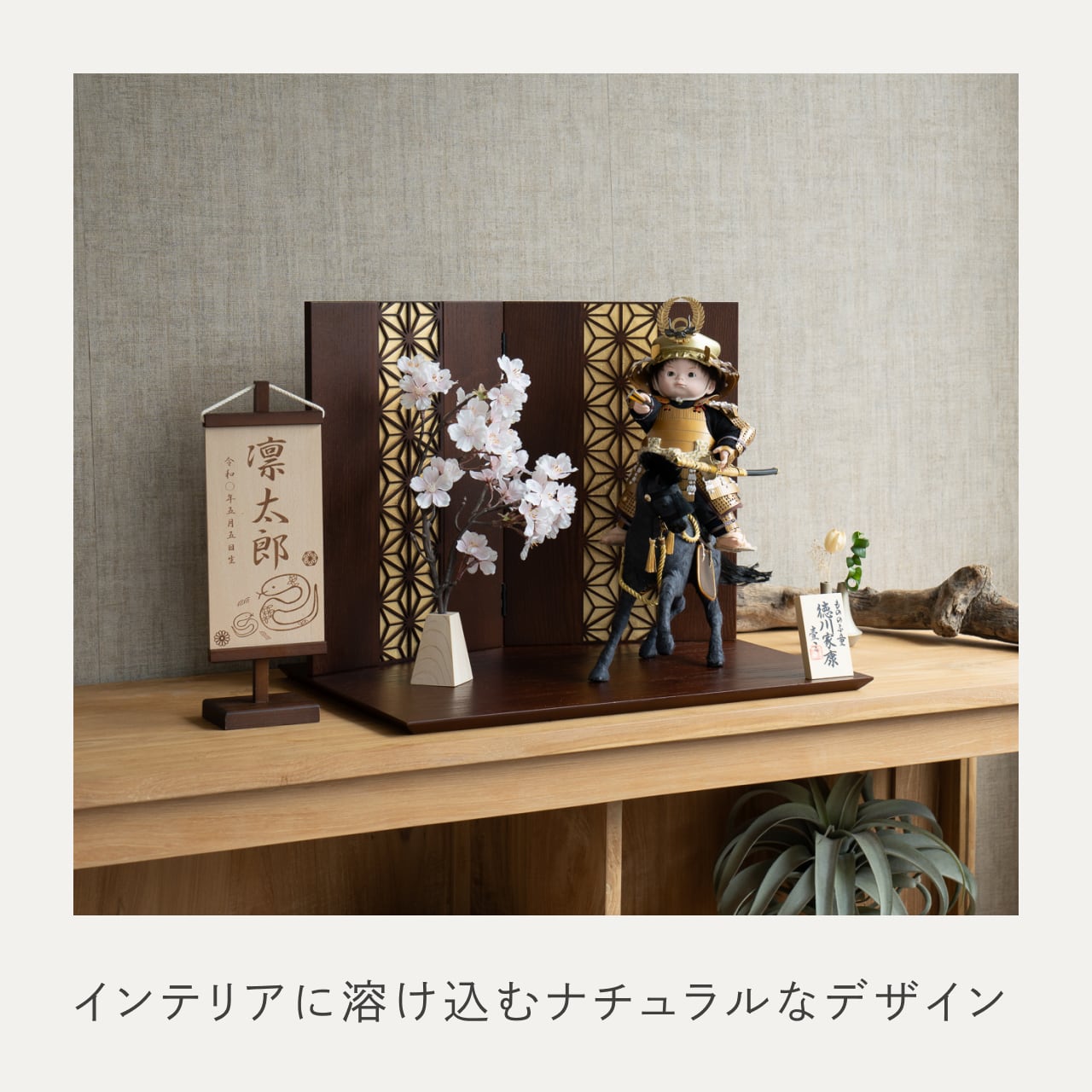 ことのわんぱくシリーズ こう(徳川)平台 麻の葉 B