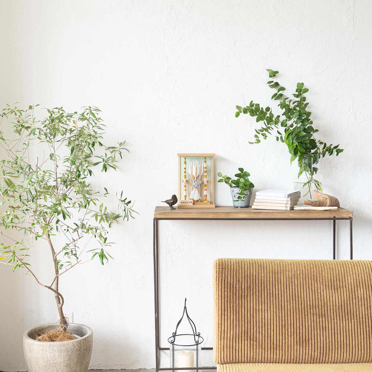 ことの破魔弓　そら　Nケース