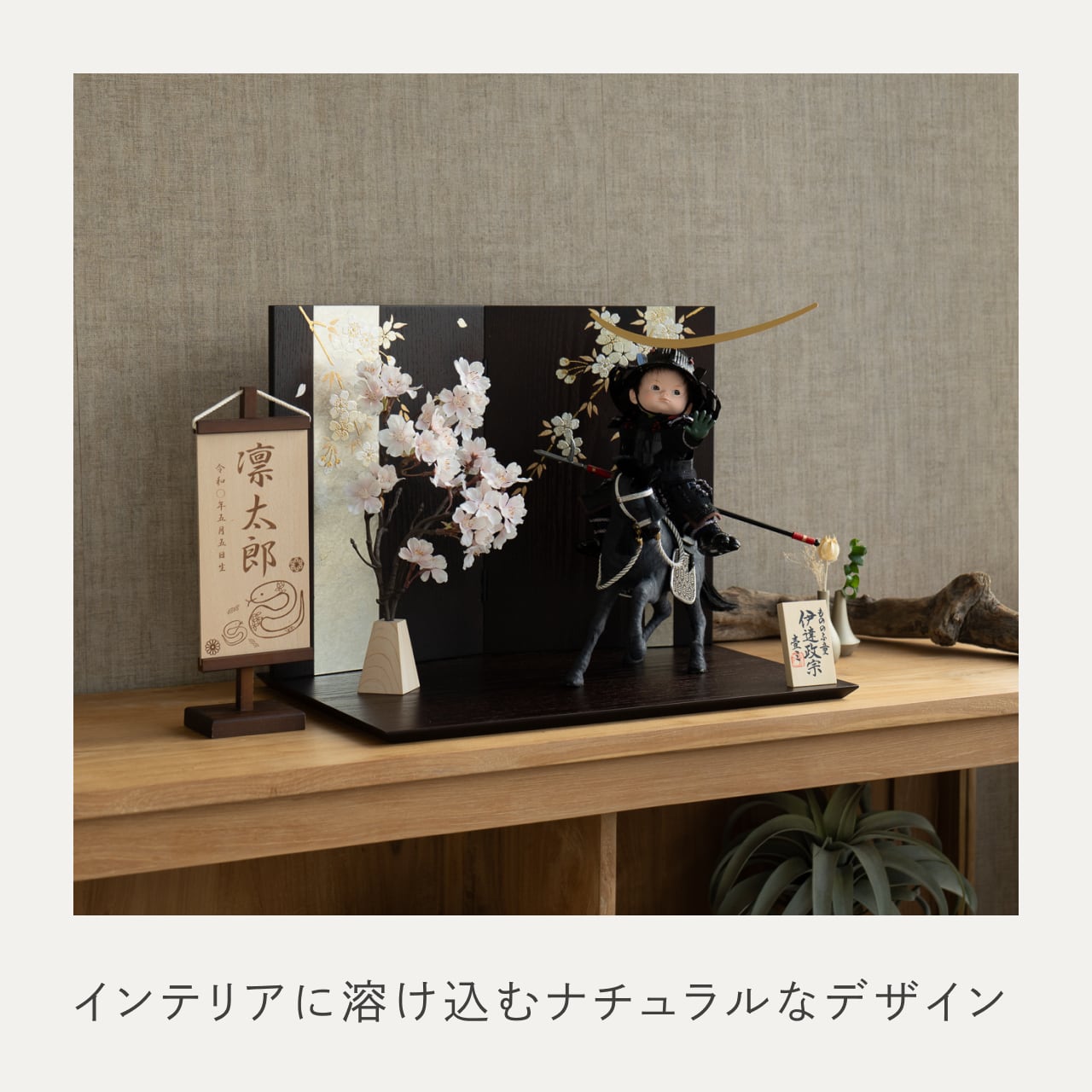 ことのわんぱくシリーズ　とも（伊達）平台　しだれ桜